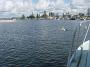 Tuncurry-PhilRoach 056